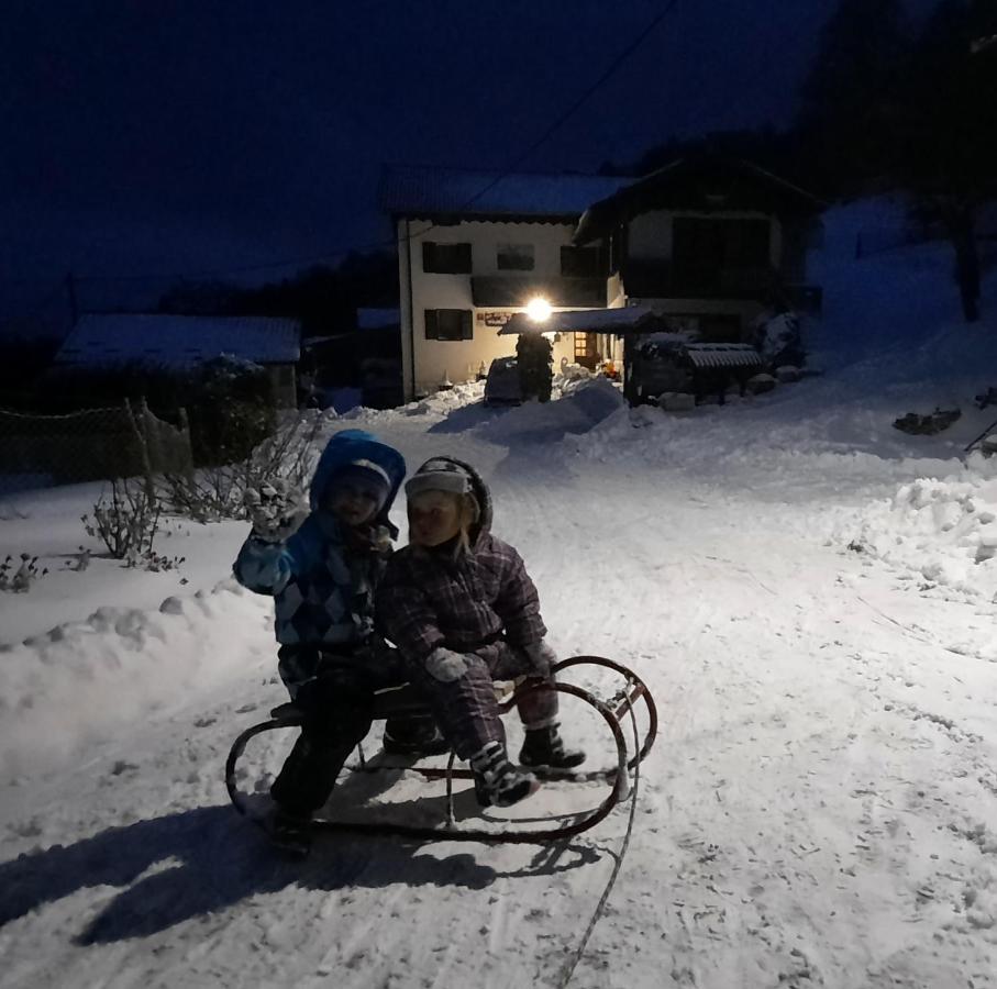 コバリード Jelenov Breg Pod Matajuremヴィラ エクステリア 写真